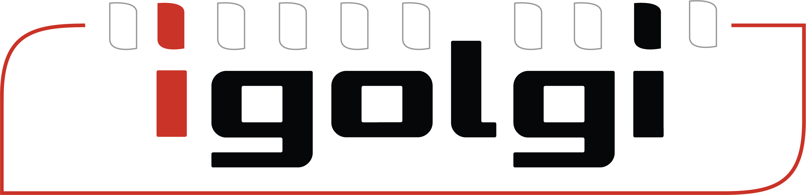 igolgi, Inc.